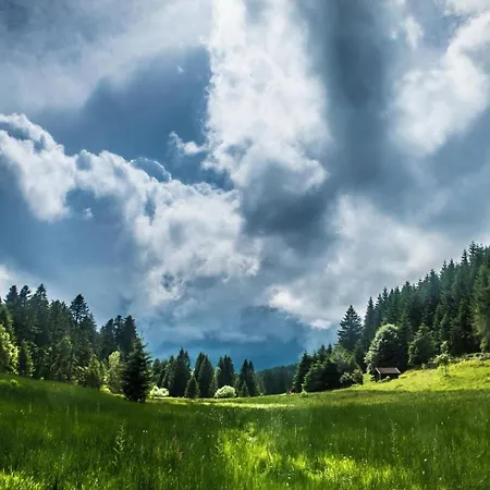 Chalet Le Quartz Des Hautes-vosges