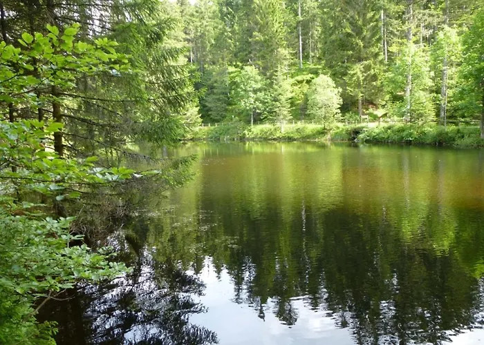Le Quartz Des Hautes-vosges Xonrupt-Longemer