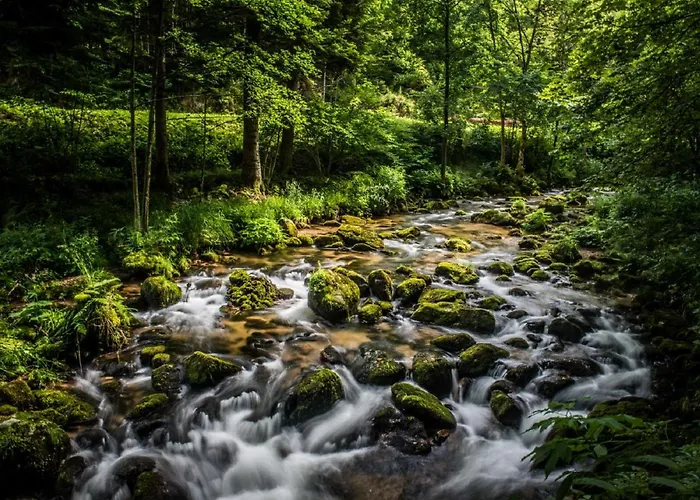 Le Quartz Des Hautes-vosges Horská chata *