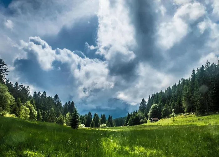 Horská chata Le Quartz Des Hautes-vosges
